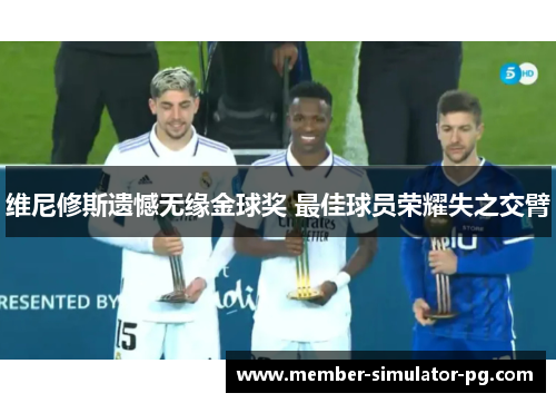 维尼修斯遗憾无缘金球奖 最佳球员荣耀失之交臂