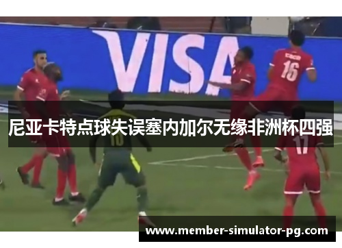 尼亚卡特点球失误塞内加尔无缘非洲杯四强
